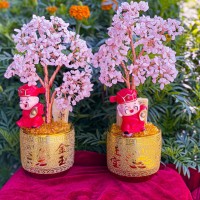 CÂY TÀI LỘC THẠCH ANH HỒNG ĐÁ VỤN T743.