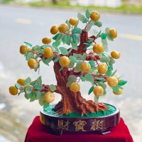 CÂY TÀI LỘC QUẢ BẰNG NGỌC HOÀNG LONG T651