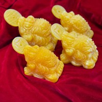 CÓC NGỌC HOÀNG LONG NGANG 10CM, 12CM NGẬM ĐỒNG TIỀN VÀNG THU HÚT TÀI LỘC CHO GIA CHỦ.