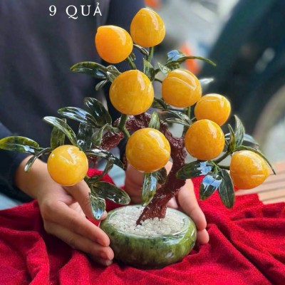 Cây đào đá ngọc hoàng long 9 quả lớn T3989