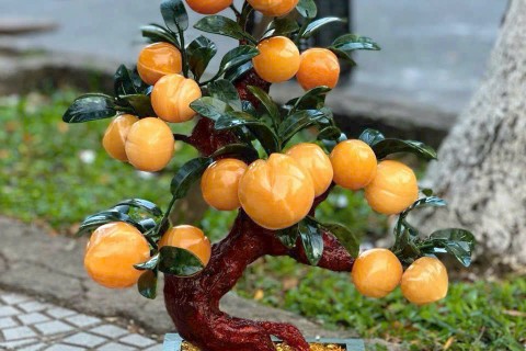 Cây Đào Ngọc Hoàng Long Trang Trí Phòng Khách Và Bàn Làm Việc