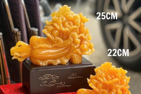 Bắp Cải Đá Ngọc Hoàng Long Cao Cấp – Mẫu Đẹp, Độc Bản 2026