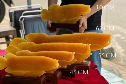 CÁ CHÉP ĐÁ NGỌC HOÀNG LONG CÓ Ý NGHĨA GÌ TRONG PHONG THỦY