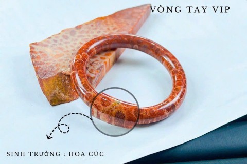 SAN HÔ ĐỎ HOÁ THẠCH TRONG PHONG THUỶ