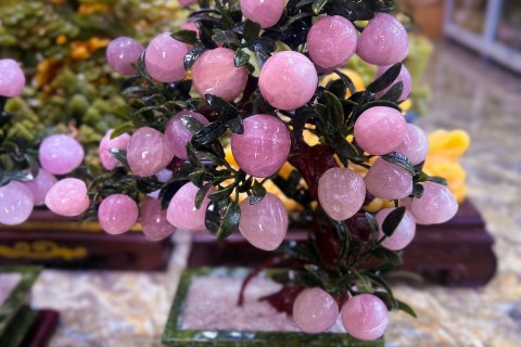 Ý NGHĨA CỦA CÂY ĐÀO TRONG PHONG THỦY