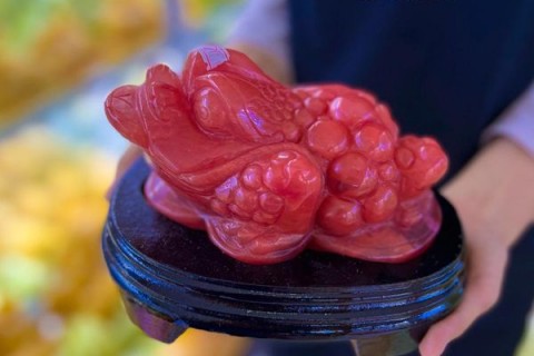 CÓC THIỀM THỪ ĐÁ NÚI LỬA ĐỎ CÓ Ý NGHĨA GÌ TRONG PHONG THUỶ?