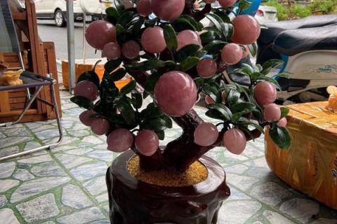 CÂY ĐÀO TIÊN THẠCH ANH HỒNG - Ý NGHĨA CỦA THỊNH VƯỢNG, SUNG TÚC VÀ TÀI LỘC