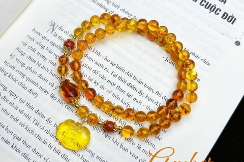 HỔ PHÁCH CÓ ĐẶC TÍNH VÀ NGUỒN GỐC TỪ ĐÂU? 