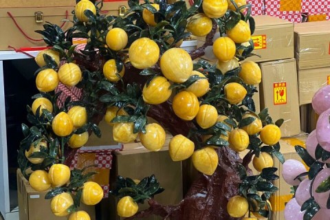 CÂY ĐÀO ĐÁ NGỌC HOÀNG LONG - BIỂU TƯỢNG CỦA SỰ THỊNH VƯỢNG