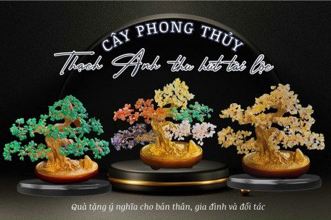 CÂY ĐÁ THẠCH ANH TÀI LỘC MANG LẠI Ý NGHĨA GÌ TRONG PHONG THUỶ?
