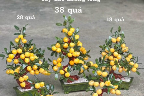 Ý NGHĨA VÔ CÙNG ĐẶC BIỆT CỦA CÁC CÂY ĐÀO BẰNG ĐÁ NGỌC HOÀNG LONG TỰ NHIÊN NGUYÊN KHỐI TRONG PHONG THUỶ
