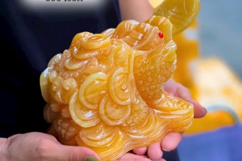 CÓC THIỀM THỪ NGỌC HOÀNG LONG CÓ Ý NGHĨA GÌ ?