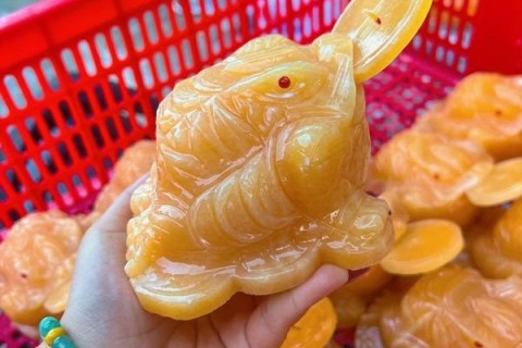 CÓC THIỀM THỪ NGỌC HOÀNG LONG BIỂU TƯỢNG CỦA SỰ TIỀN TÀI VÀ MAY MẮN