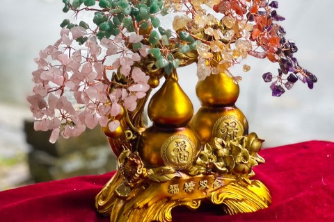 Top 5 Sự Thật Về Cây Tài Lộc Đá Phong Thủy Khiến Giới Bán Hàng 