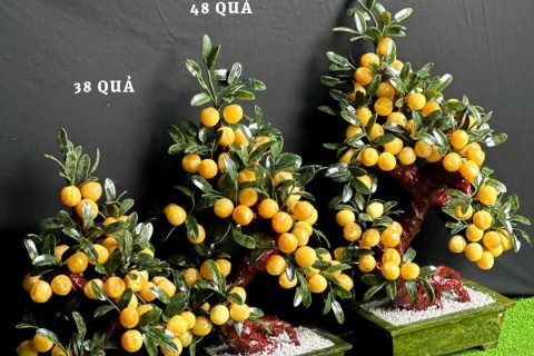 CÂY ĐÀO ĐÁ NGỌC HOÀNG LONG - 100% ĐÁ TỰ NHIÊN