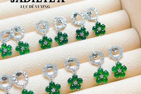 BÔNG TAI NGỌC PHỈ THUÝ - THĂNG TIẾN TRONG CÔNG VIỆC VÀ SỰ NGHIỆP