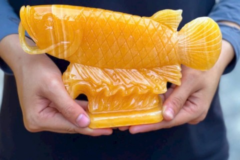 Đặt Tượng Cá chép ngọc hướng nào để thi cử đỗ đạt, sự nghiệp lên hương? Top bí quyết vàng