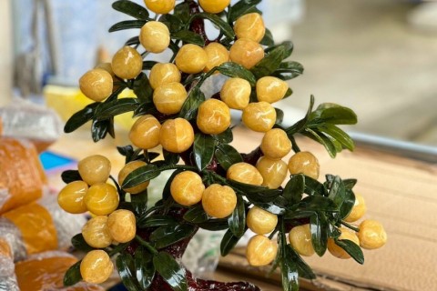 TOP 5 Lý Do Cây Đào Vàng Ngọc Hoàng Long Được Giới Nhà Giàu Săn Đón