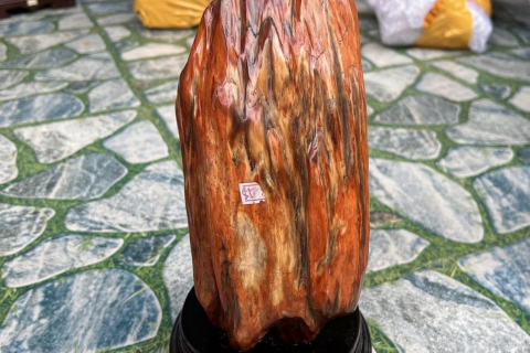 GỖ HOÁ THẠCH HỢP MỆNH GÌ TRONG PHONG THUỶ