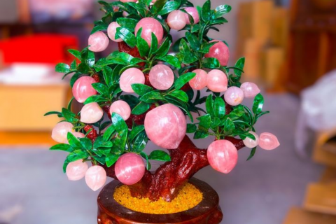 Ý Nghĩa Và Cách Đặt Cây Đào Đá Trong Phong Thuỷ