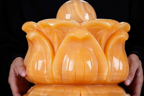 TÁC DỤNG VÀ NHỮNG ĐIỀU CẦN BIẾT VỀ THUỶ LUÂN NƯỚC