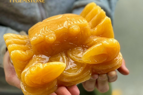 Ý NGHĨA TƯỢNG CUA TRONG PHONG THUỶ