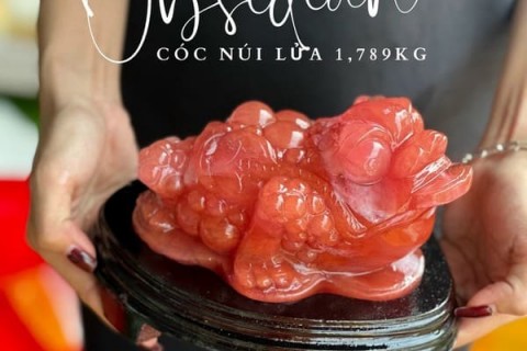 Ý Nghĩa Tượng Cóc Thiềm Thừ Đá Núi Lửa Đỏ Trong Phong Thủy Kinh Doanh & Đời Sống