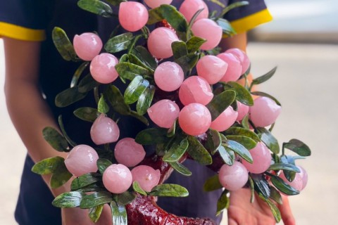 CÂY ĐÀO THẠCH ANH HỒNG THU HÚT TẤT CẢ TÀI LỘC GIA TĂNG MAY MẮN 