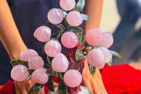 Cây Đào Thạch Anh Hồng Khai Trương, Làm Quà Tặng: Ý Nghĩa & Cách Chọn Phù Hợp