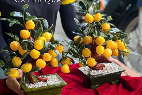 Ý NGHĨA PHONG THỦY ĐẶT BIỆT CỦA CÂY ĐÀO  ĐÁ NGỌC HOÀNG LONG 18 QUẢ MANG ĐẾN CHO CHỦ SỞ HỮU NHỮNG GÌ 