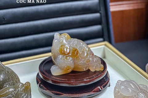 CÓC THIỀM THỪ ĐÁ MÃ NÃO ĐEM LẠI CÔNG DỤNG GÌ TRONG PHONG THUỶ NGÀY NAY 