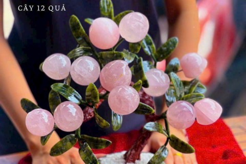 Top 5 Vị Trí Đặt Cây Đào Phong Thủy Trong Nhà Để Sức Khỏe Dồi Dào, Trường Thọ Đắc Lộc