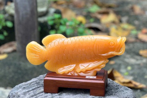 CÁ CHÉP ĐÁ NGỌC HOÀNG LONG TỰ NHIÊN – BIỂU TƯỢNG MAY MẮN, THÀNH CÔNG VÀ THỊNH VƯỢNG