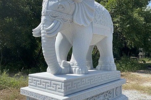 Con Voi Đá Trắng – Sự Kết Hợp Giữa Nghệ Thuật Và Điêu Khắc Đỉnh Cao