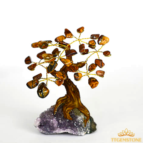 Cây đá mắt hổ 