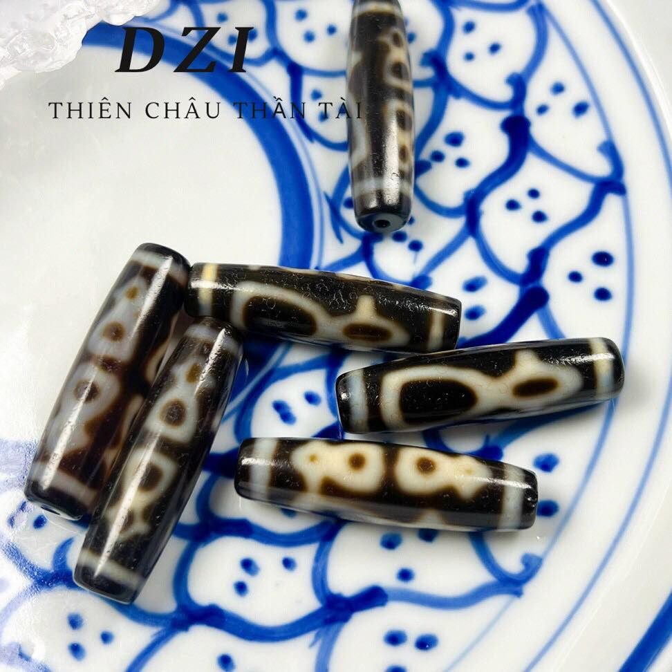 TỔNG QUAN VỀ DZI MÀ AI CŨNG NÊN HIỂU
